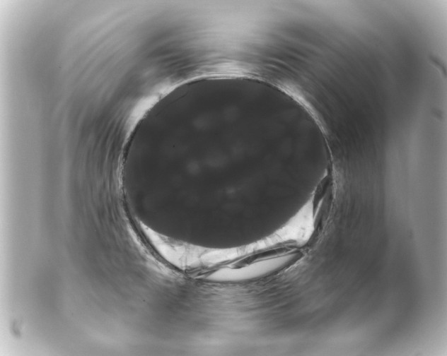 X0000100221477200806271716