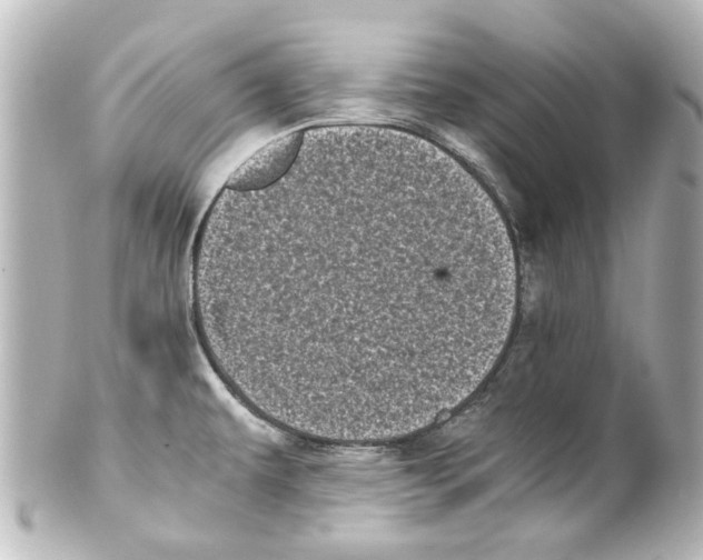 X0000100221479200806271716