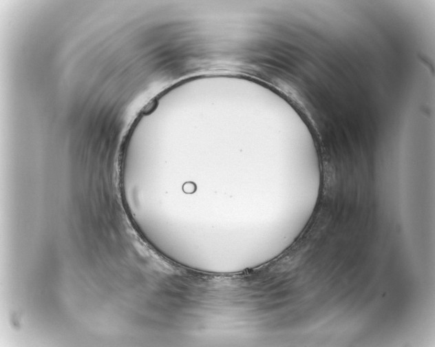 X0000100221480200806271716