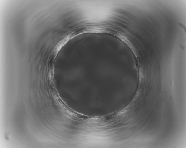 X0000100221481200806271716