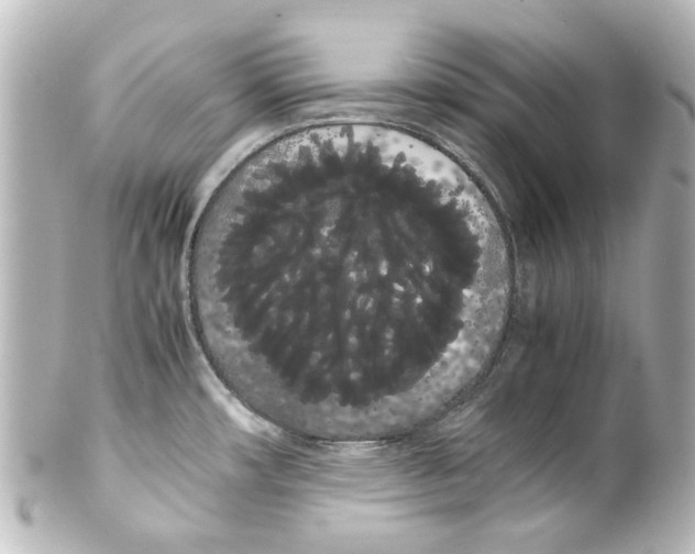 X0000100221482200806271716