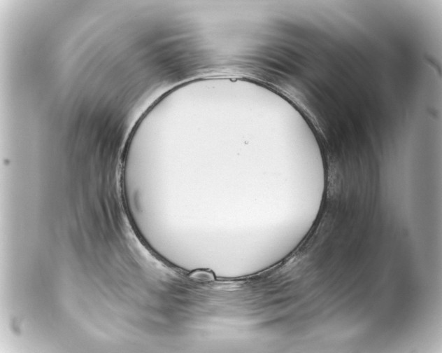 X0000100221484200806271716