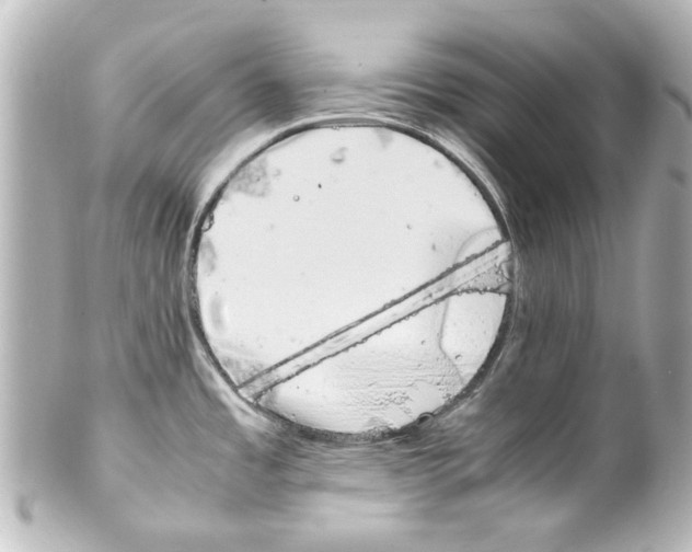 X0000100221485200806271715