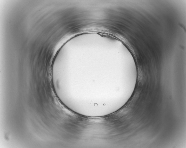 X0000100221486200806271715