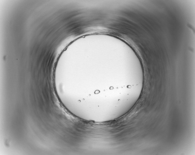 X0000100221488200806271715