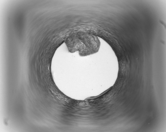 X0000100221489200806271715