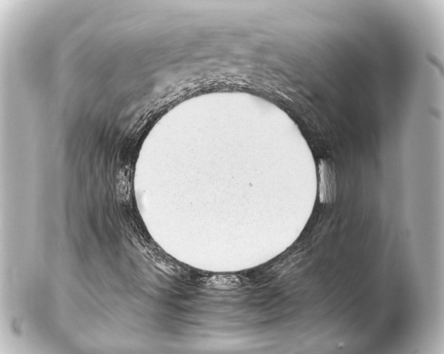 X0000100221491200806271715