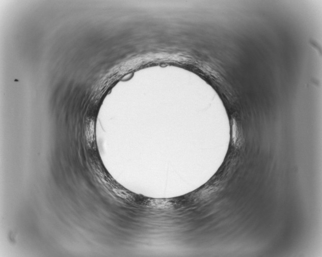 X0000100221492200806271715