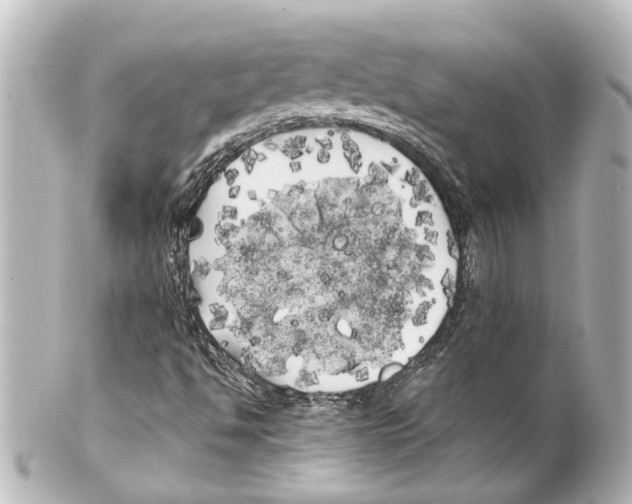 X0000100221494200806271715