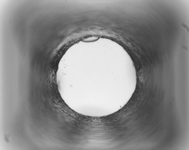 X0000100221495200806271715