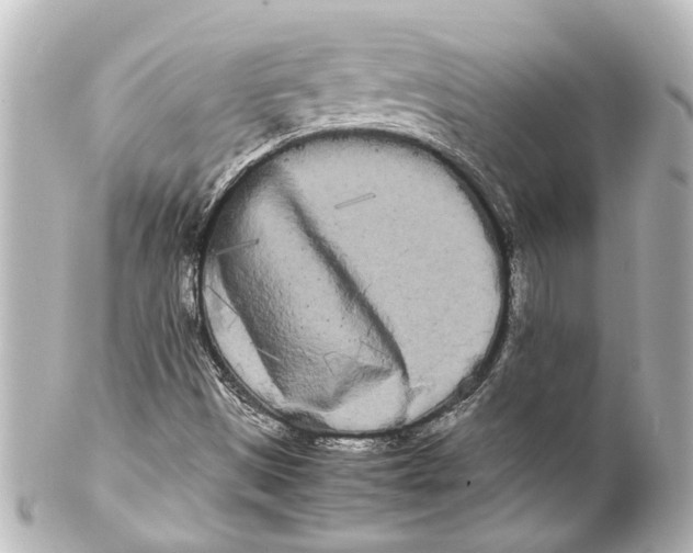 X0000100221497200806271715