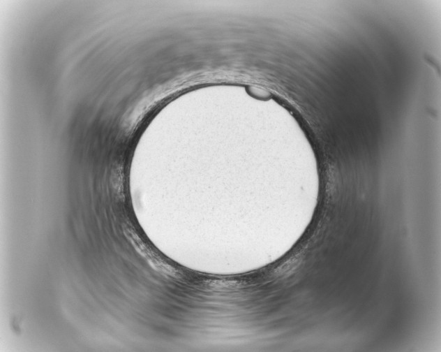 X0000100221499200806271715