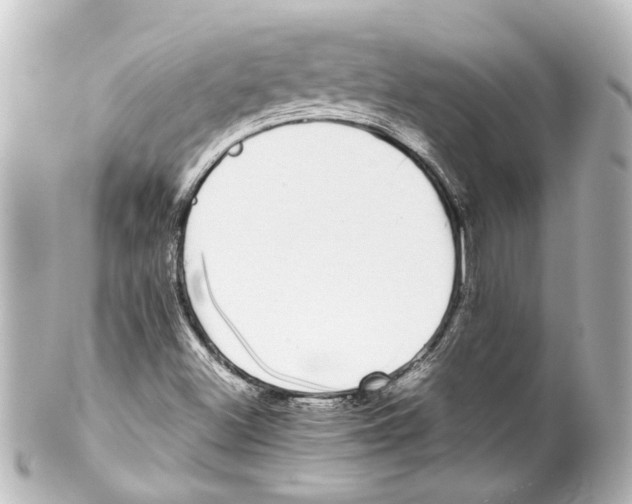 X0000100221500200806271715