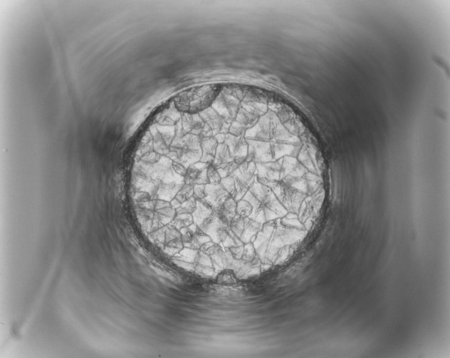 X0000100221501200806271715