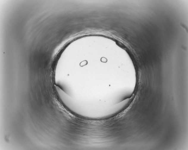 X0000100221502200806271715