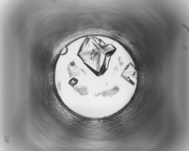 X0000100221504200806271715