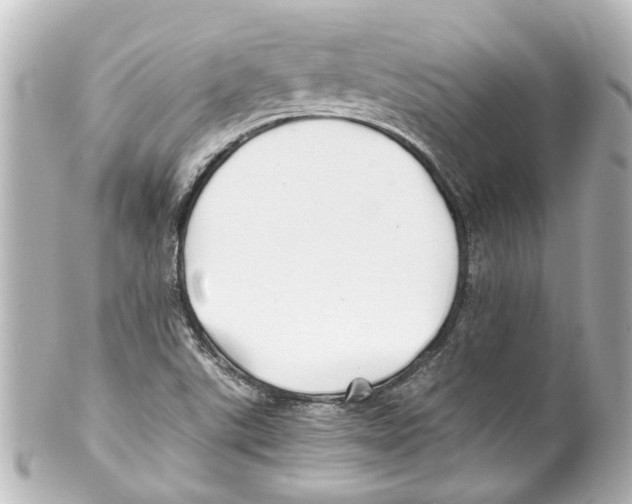 X0000100221507200806271715