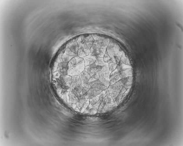 X0000100221509200806271715