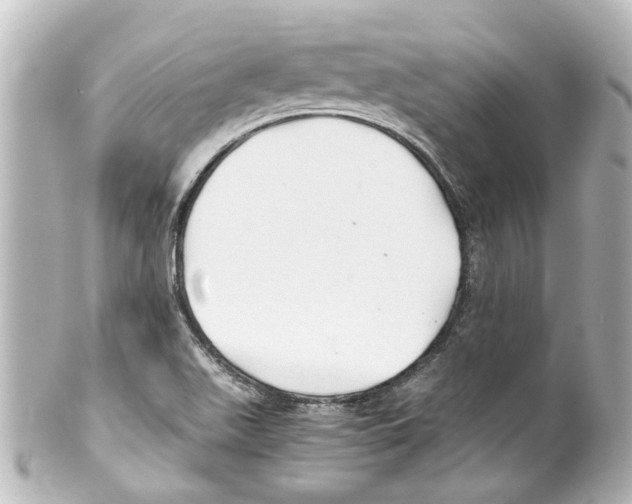 X0000100221511200806271715