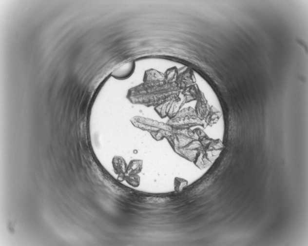 X0000100221513200806271715