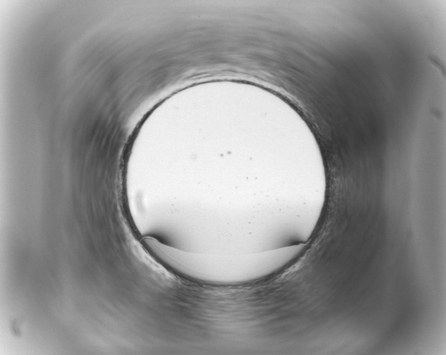 X0000100221518200806271715