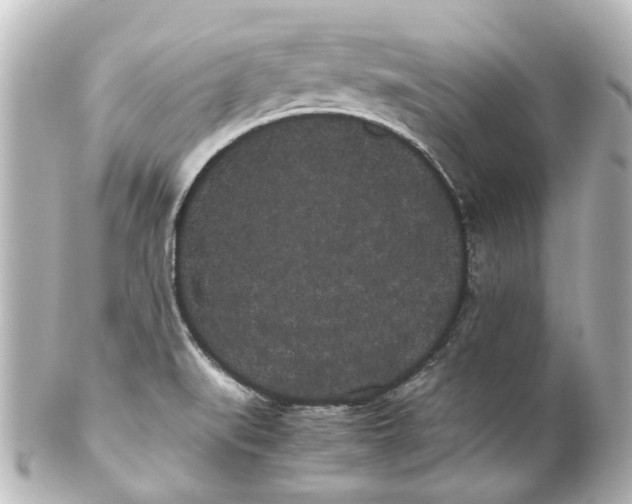 X0000100221519200806271715