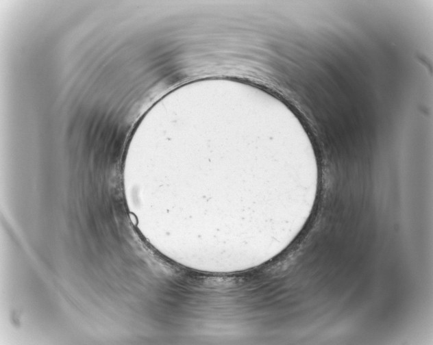 X0000100221521200806271715