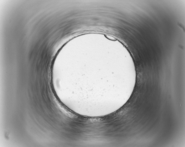 X0000100221523200806271715