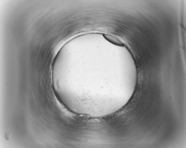 X0000100221524200806271715