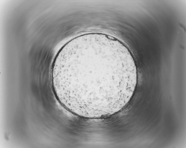 X0000100221527200806271715