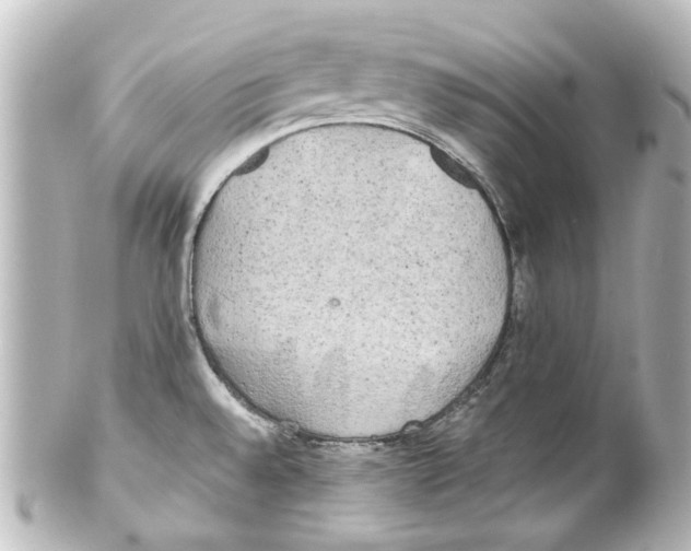 X0000100221528200806271715