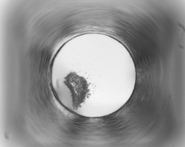 X0000100221531200806271715