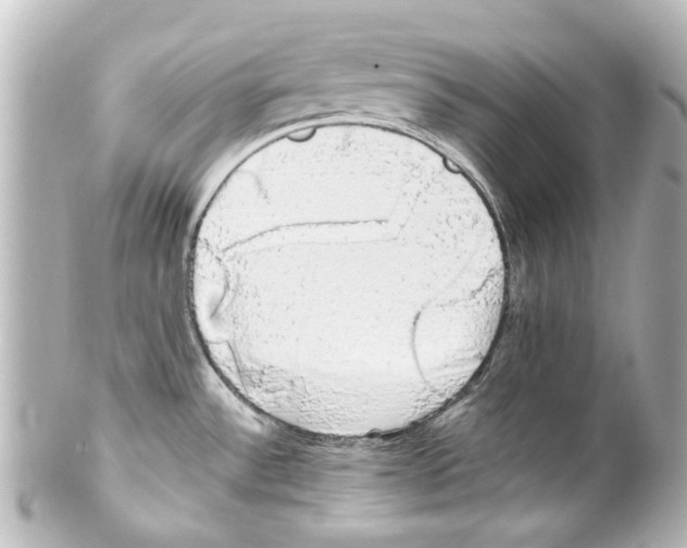 X0000100221532200806271715