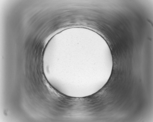 X0000100221534200806271715