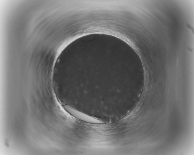 X0000100221536200806271715