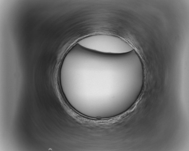 X0000100230001200805300733