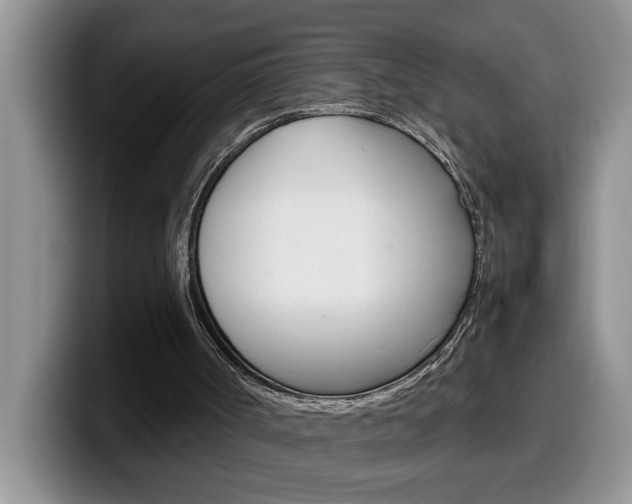 X0000100230002200805300733