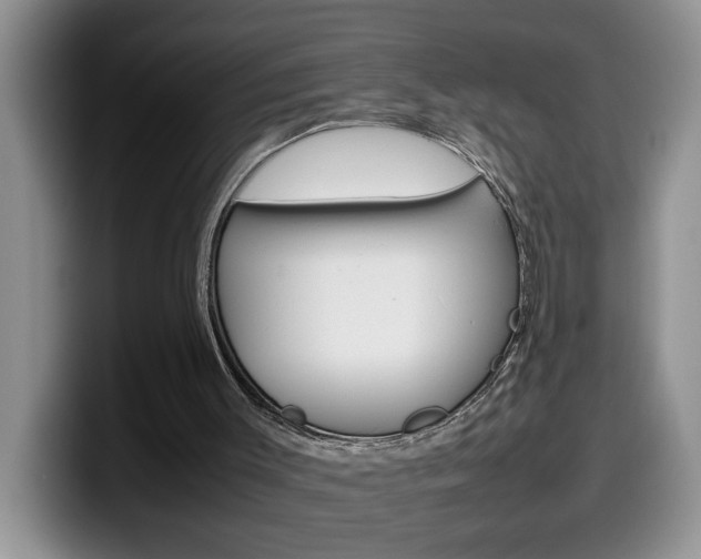 X0000100230003200805300733