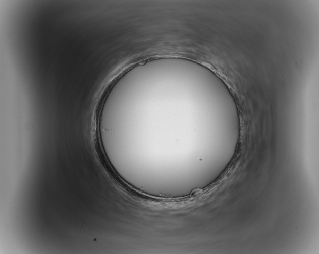 X0000100230005200805300733