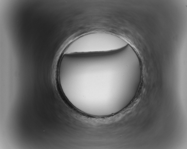 X0000100230007200805300733