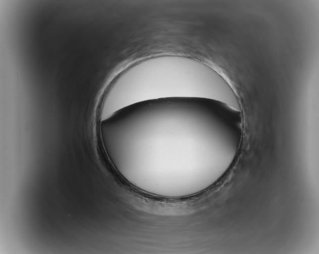 X0000100230008200805300733