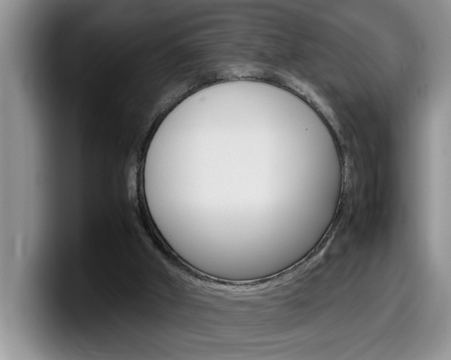 X0000100230010200805300733