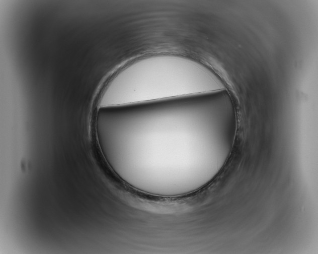 X0000100230012200805300733