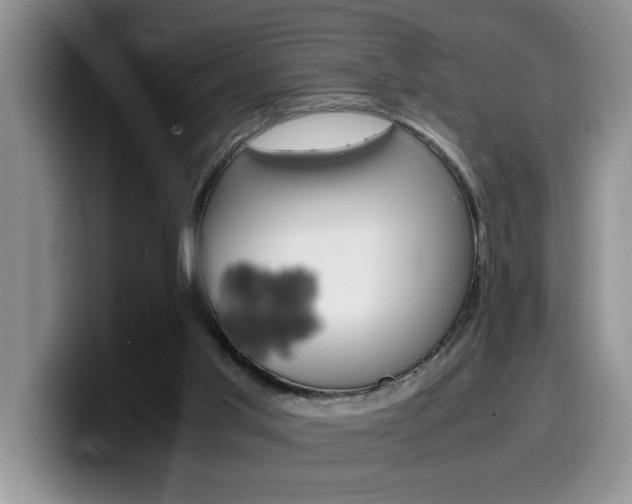 X0000100230013200805300733