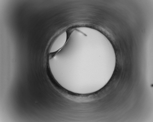 X0000100230016200805300733