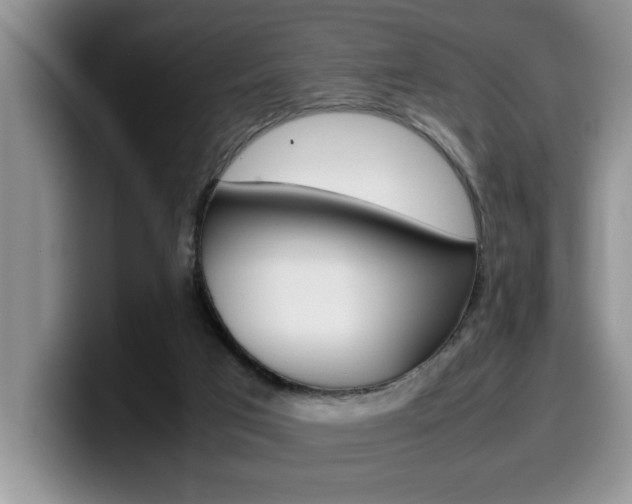 X0000100230017200805300733
