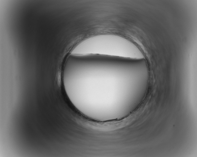 X0000100230019200805300733