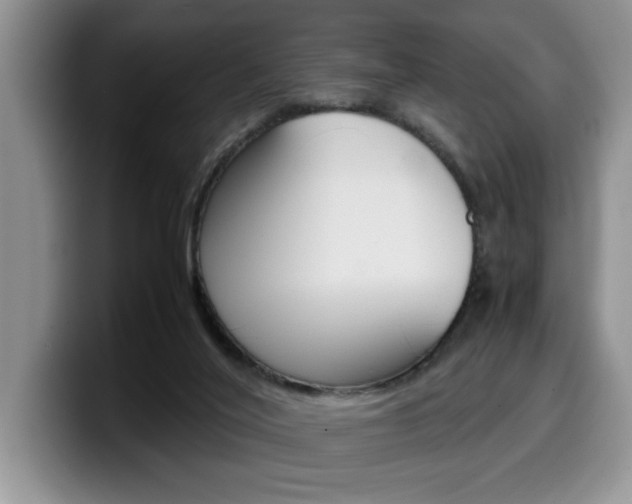 X0000100230020200805300733