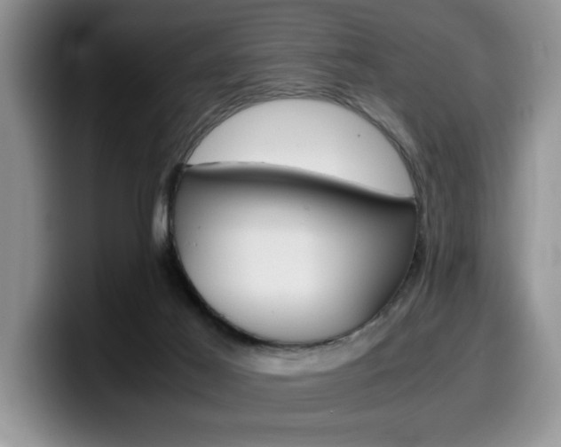 X0000100230021200805300733