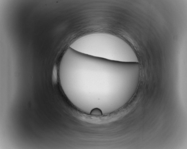 X0000100230022200805300733